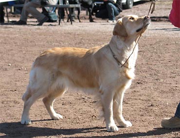 &copy;   Minna Outinen