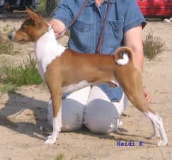 Ajibu_Datz_Me.jpg (20303 bytes)