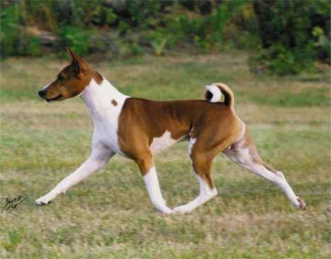 DerbyMovingW.jpg (16509 bytes)