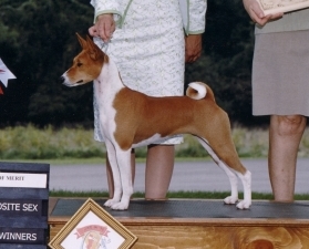 Leezza.jpg (55446 bytes)