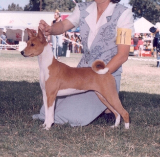 Shasta.jpg (105689 bytes)