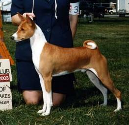 Skyhi_RockYourWorldp.jpg (14803 bytes)