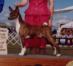 Timmy.jpg (37695 bytes)