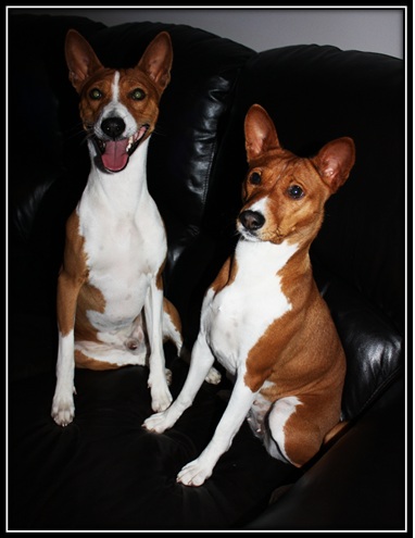 V ja V _ilmeet.jpg (50460 bytes)