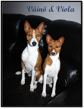 Vaino ja Viola_1.jpg (34247 bytes)