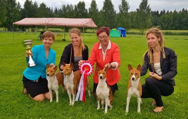 ajibu BIS-2.jpg (79301 bytes)