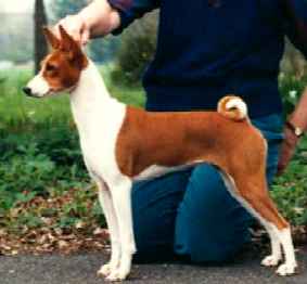 akuabadancestoterrarust.jpg (8830 bytes)