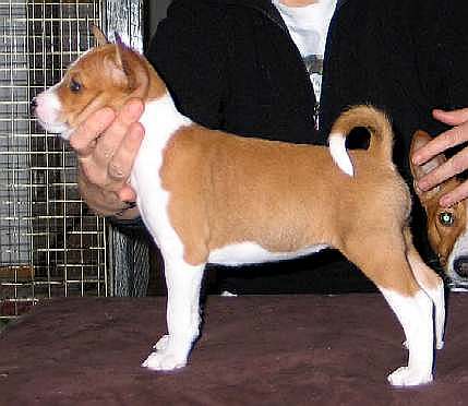 amalia5pvko.jpg (22084 bytes)