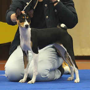 ani_erkkari1.jpg (10262 bytes)