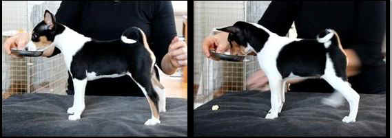 anintytot.JPG (25953 bytes)