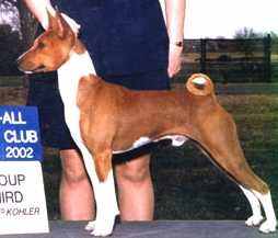 daredevil.jpg (8268 bytes)