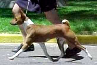 daredevilmove.jpg (15957 bytes)