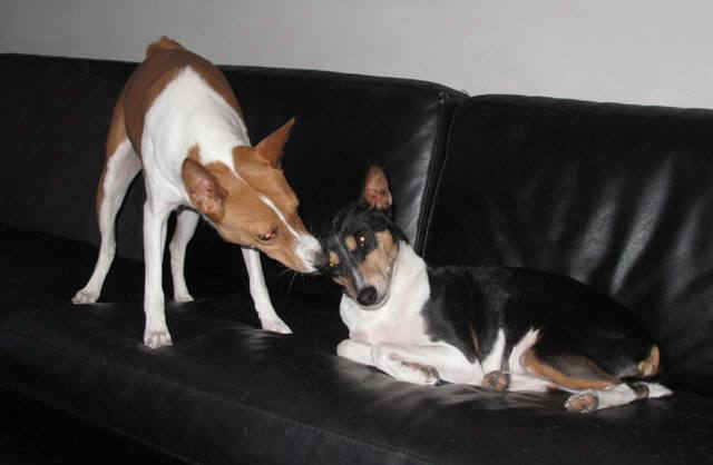 ellajaolivia.JPG (27521 bytes)