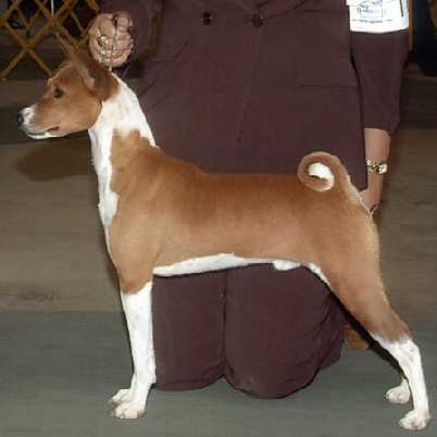 meisterhaus politically correct .jpg (12149 bytes)