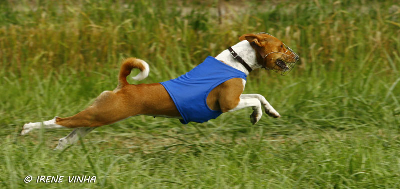 ninja_juoksee2.jpg (71973 bytes)