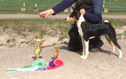 pyry_5kklahti.JPG (67140 bytes)