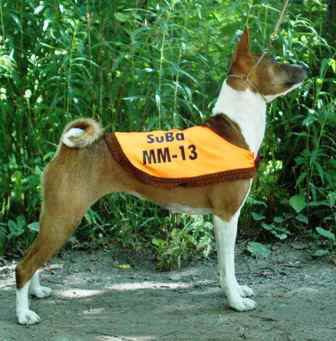 ronja_subamm2013.JPG (17833 bytes)