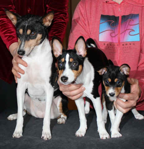 serkukset ja isoisoaiti.jpg (116806 bytes)