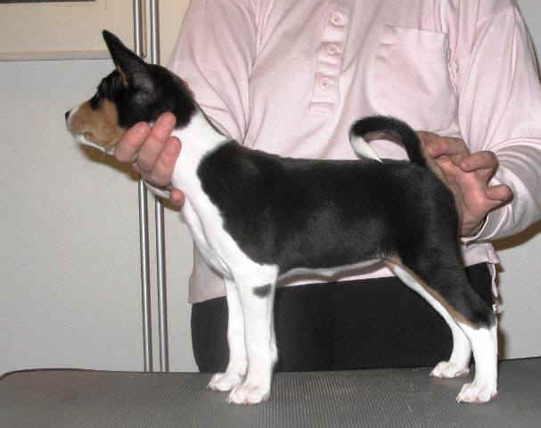 sohvi7vko.JPG (38409 bytes)