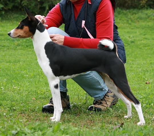 sohvi_9kka.jpg (97851 bytes)