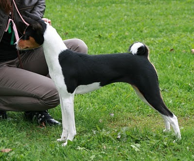 taika_9kka.jpg (58261 bytes)