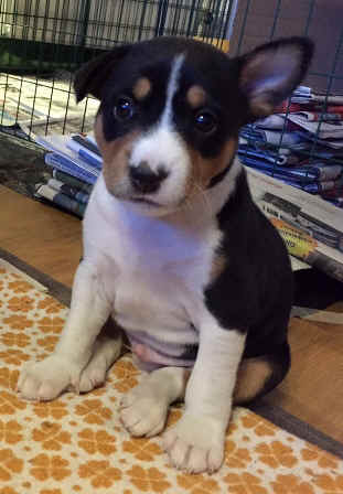 unto_5vko.jpeg (87719 bytes)