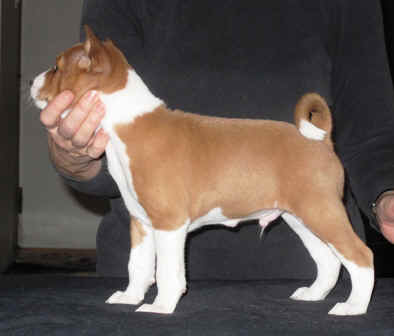 vaino_6vkoa.JPG (10984 bytes)