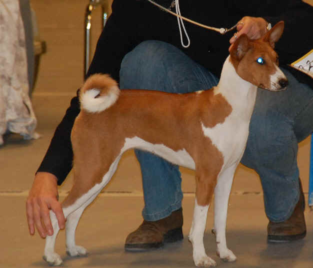 viivi_10kk.jpg (137222 bytes)