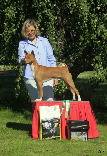 viljo_erkkari2014a.JPG (231693 bytes)