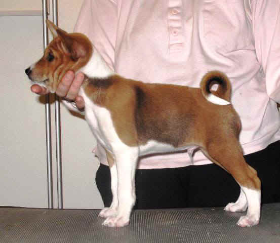 winston7vko.JPG (39170 bytes)