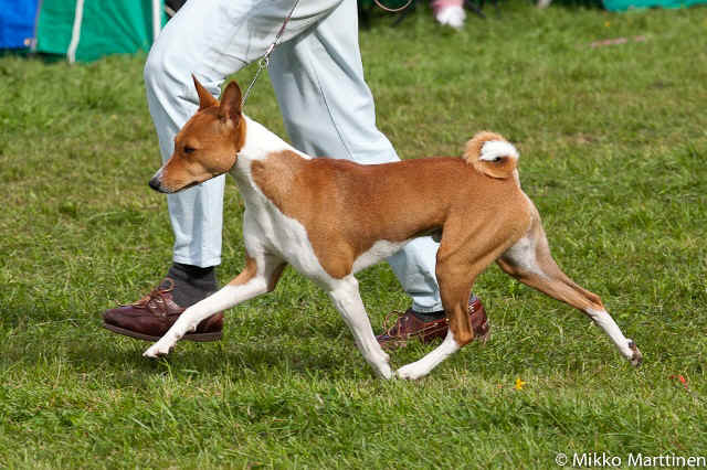 winston_20kkb.jpg (151815 bytes)