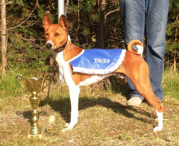 winston_TS_2013.JPG (212071 bytes)