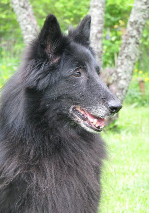 Betsy kesällä 2010