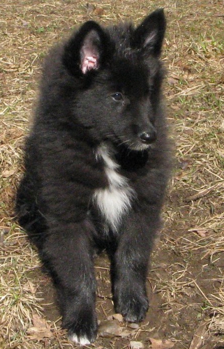 Inke 7 vk 4 pv, eka aamu uudessa kodissa