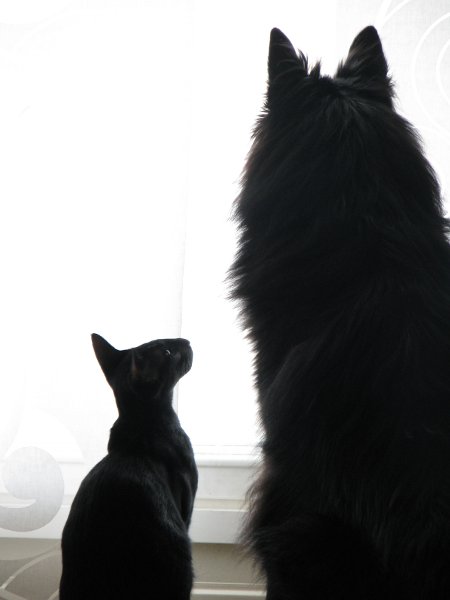 Tau ja Inke kesällä 2011