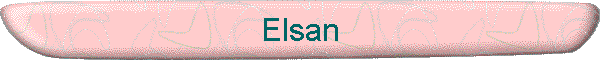 Elsan
