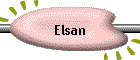 Elsan