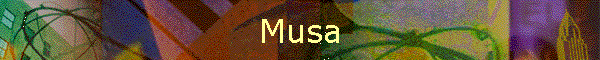Musa