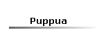 Puppua