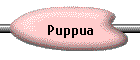 Puppua