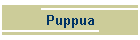 Puppua