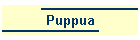 Puppua