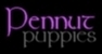 Pennut