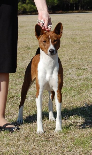 Hunter-2009.jpg (72252 bytes)