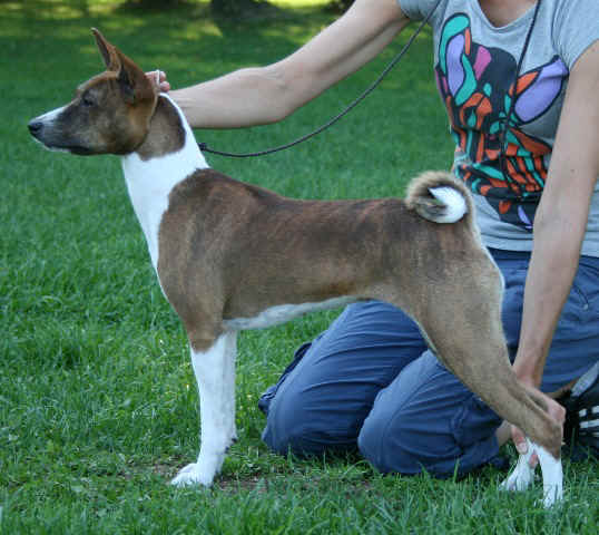 Ronja_8kkc.jpg (109601 bytes)