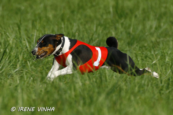 diego_juoksee.jpg (110322 bytes)