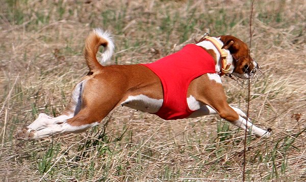 lieto_Viivi.jpg (80196 bytes)