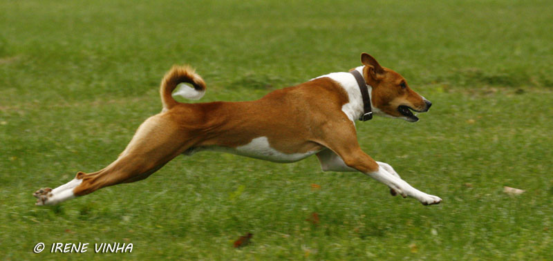 winston_molli.jpg (62213 bytes)